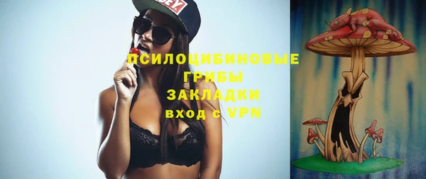 a pvp Алзамай