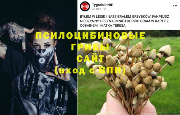 ALPHA PVP Алексеевка