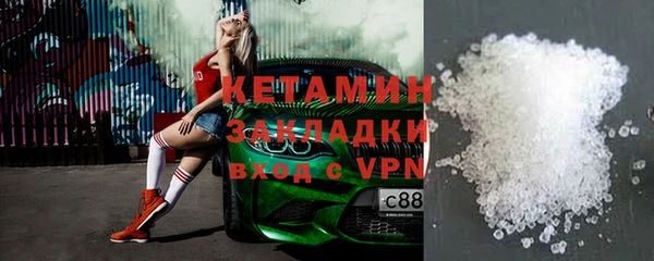 индика Няндома
