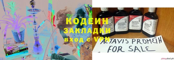 индика Няндома
